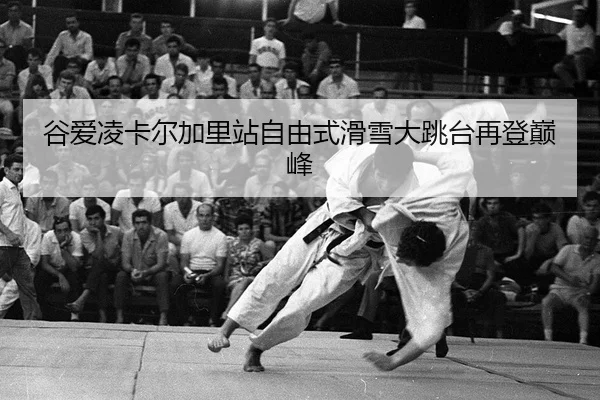 gu-ai-ling-ka-er-jia-li-zhan-zi-you-shi-hua-xue-da-tiao-tai-zai-deng-dian-feng-2-447.jpg